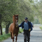 Kladruby 2019 - středa