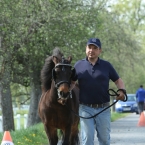 Kladruby 2019 - středa