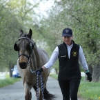 Kladruby 2019 - středa