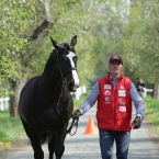 Kladruby 2019 - středa