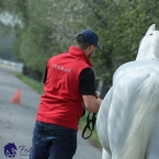 Kladruby 2019 - středa