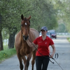 Kladruby 2019 - středa