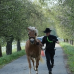 Kladruby 2019 - středa