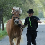 Kladruby 2019 - středa