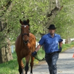 Kladruby 2019 - středa