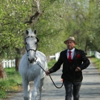 Kladruby 2019 - středa