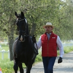 Kladruby 2019 - středa