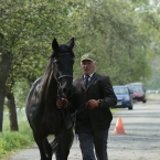 Kladruby 2019 - středa