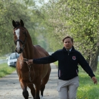 Kladruby 2019 - středa