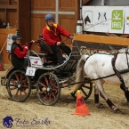 Královice 2019 - finále spřežení