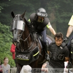 Policejní koně