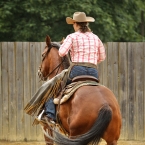 Reining