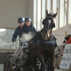 Slatiňany 2019 - spřežení