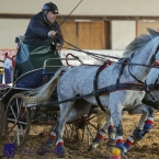 Slatiňany 2019 - spřežení