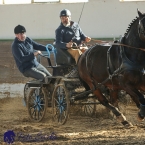 Slatiňany 2019 - spřežení