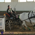 Slatiňany 2019 - spřežení