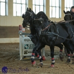 Slatiňany 2019 - spřežení