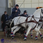 Tlumačov 2019 - spřežení