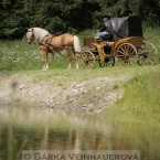 Zrcadlení