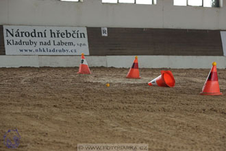 10.2.2018 - Halovky Slatiňany