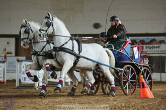 10.2.2018 - Halovky Slatiňany