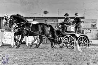 10.2.2018 - Halovky Slatiňany