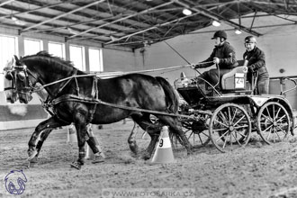 10.2.2018 - Halovky Slatiňany