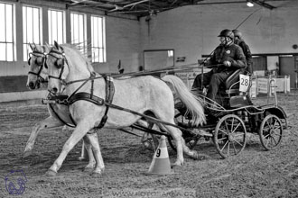 10.2.2018 - Halovky Slatiňany