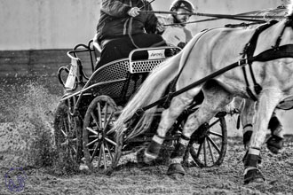 10.2.2018 - Halovky Slatiňany