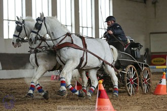 10.2.2018 - Halovky Slatiňany