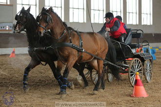 10.2.2018 - Halovky Slatiňany