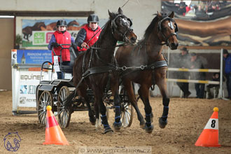 10.2.2018 - Halovky Slatiňany