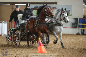 10.2.2018 - Halovky Slatiňany