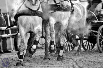 10.2.2018 - Halovky Slatiňany