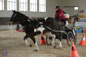10.2.2018 - Halovky Slatiňany