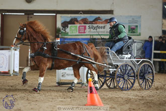 10.2.2018 - Halovky Slatiňany