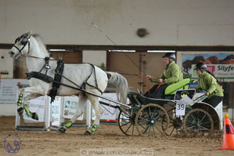10.2.2018 - Halovky Slatiňany