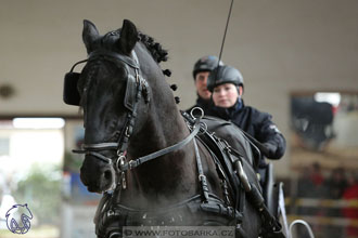 10.2.2018 - Halovky Slatiňany