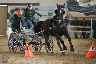 10.2.2018 - Halovky Slatiňany