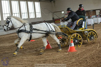 10.2.2018 - Halovky Slatiňany