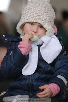 11.2.2017 - spřežení Slatiňany