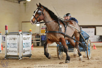 11.2.2017 - spřežení Slatiňany