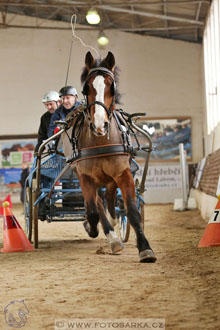 11.2.2017 - spřežení Slatiňany