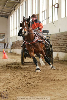 11.2.2017 - spřežení Slatiňany