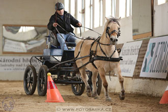 11.2.2017 - spřežení Slatiňany