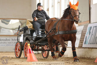 11.2.2017 - spřežení Slatiňany
