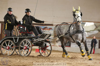 11.2.2017 - spřežení Slatiňany