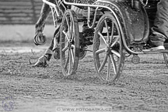 11.2.2017 - spřežení Slatiňany