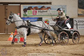 11.2.2017 - spřežení Slatiňany