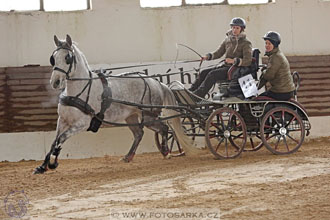 11.2.2017 - spřežení Slatiňany